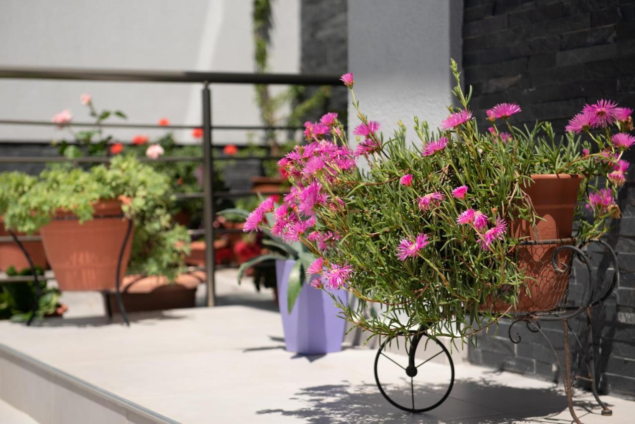 Almare Seaside Studios & Suites - Sarti Sithonia Buitenkant foto